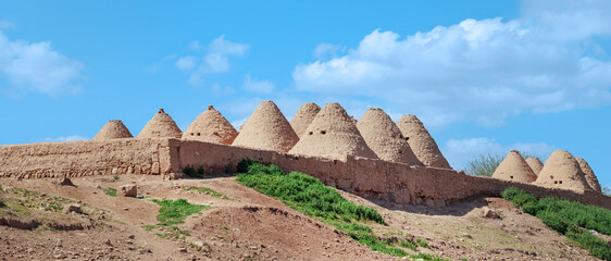 Traditional beehive mud brick desert houses, Harran near the Syrian border, Turkey