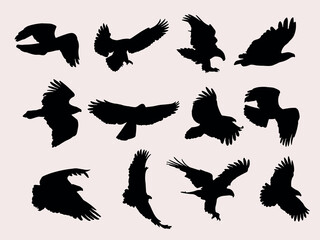Fototapeta premium eagle silhouette vector illustration.eagle bird clipart collection
