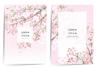 Vector editorial design frame set of Korean spring scenery with cherry trees in full bloom. Design for social media, party invitation, Frame Clip Art and Business Advertisement - 569545253