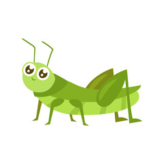 cute cartoon green grasshopper. cricket illustration