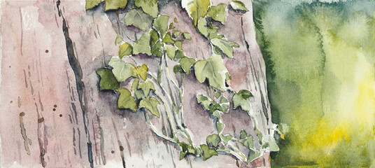 Autumn garden in the rain. Watercolor hand painted illustration. - 569547432