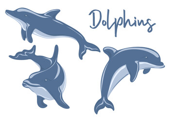 Set of Dolphins swimming and jumping. Marine dweller. Concept of sea and ocean life. Vector illustration