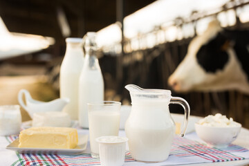 jug of milk, bottle of kefir, cottage cheese, cream and yogurt in bowl, cheese, butter on table in cowshed