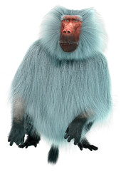 3D Rendering Baboon on White