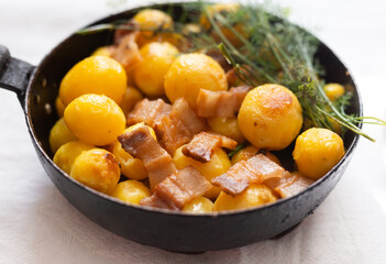 traditional homemade dish. fried young potatoes with bacon and dill serving in skillet