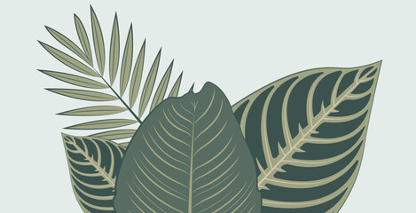 leaf pattern on a light blue background