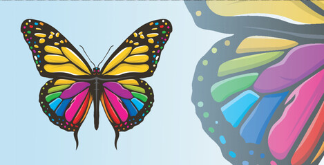 beautiful butterfly vector with colorful colors 