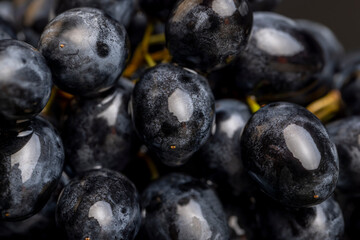 washed ripe black grapes covered with drops of water
