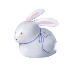 Cute white rabbit isolated on white background/