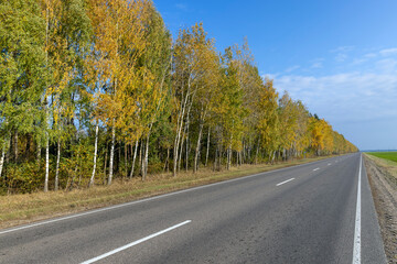 Yellowing foliage in the autumn season