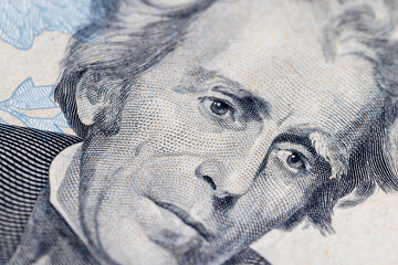 details of 20 American dollars in cash