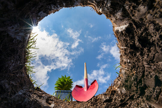 Looking up from hole in yard with shovel and flower. Lawncare, planting flower, gardening and digging a hole concept.