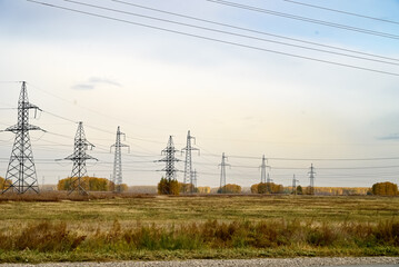 a number of power lines in the autumn forest