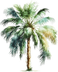 AI-generated watercolor image of a palm tree on a transparent background