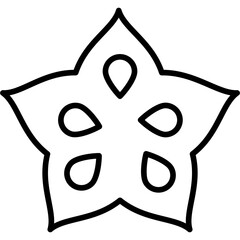 Star Fruit Icon