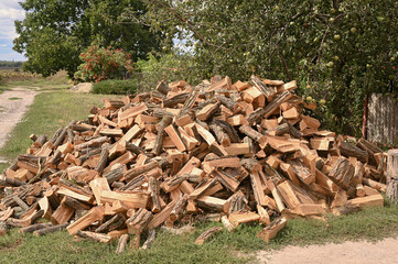 A pile of firewood is lying on the grass near the road.