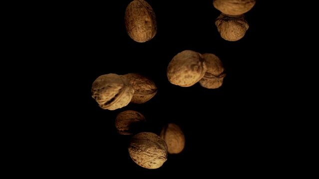 Healthy walnuts with shells of brown colour fall down under electric light on black background slow motion macro view