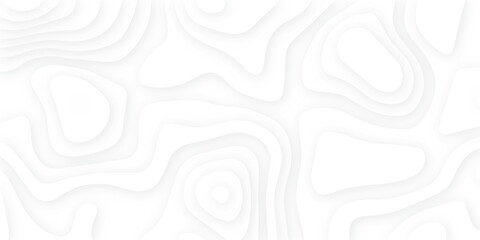 Abstract white papercut background with waves. Topographic canyon geometric map relief texture with curved layers and shadow. wavy line 3d paper cut white background.