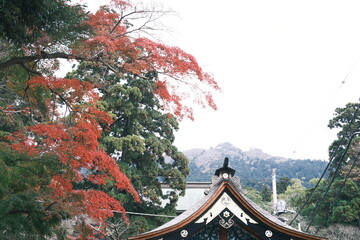 Fototapeta premium 筑波山神社