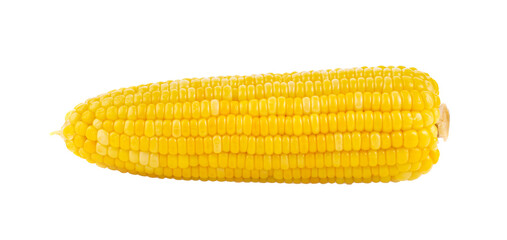 corn isolated on transparent png