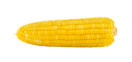corn isolated on transparent png