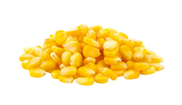 Corn seeds isolated on transparent png