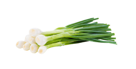 Green onion isolated on transparent png