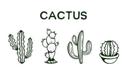 Cactus collection hand drawing 