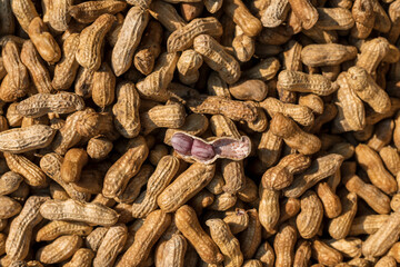 Peanut in a shell texture. Food background of peanuts