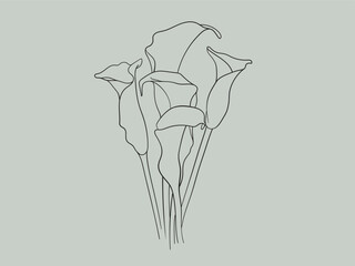 Minimalist line art callas flowers on green background. Callas bouquet line drawing. Outline vector illustration - obrazy, fototapety, plakaty
