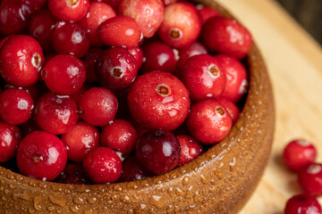 Red wild cranberries covered with drops of water