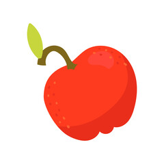 apple fruit illustration
