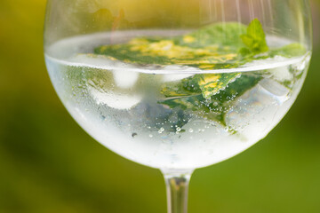 A close up shot of a large gin and tonic glass containing ice, mint end lemon balm, covered in...