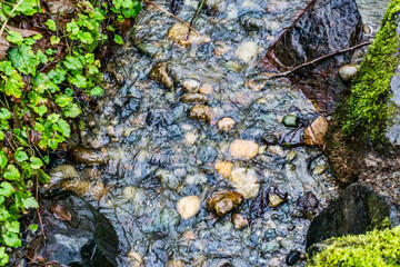 Park Rocky Stream