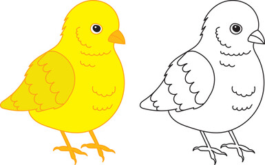 chick coloring book on white background vector