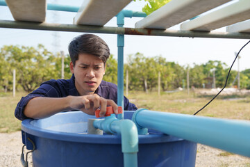 Asian business owner observed about growing organic in hydroponics farm. Growing organic vegetable...