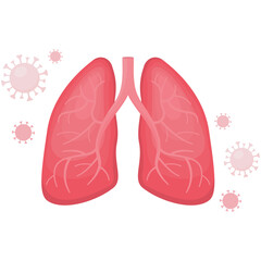 Flat illustration of human lungs with coronavirus flying around