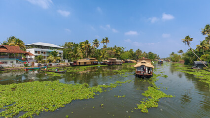 Fototapeta premium As houseboats slowly cruise through innumerable creeks of backwaters of Kerala, idyllic beauty of Alappuzha unfolds.