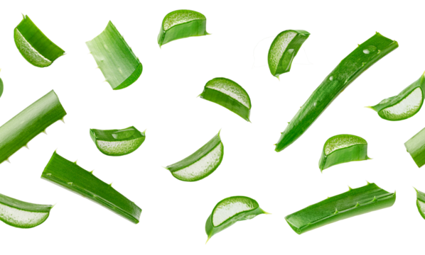 Aloe vera seamless pattern