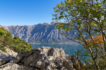 Scenic view on Kotor bay framed by tree branches on hiking trail to Vrmac Sveti Ilija in summer, Adriatic Mediterranean Sea, Montenegro, Balkans, Europe. Fjord winding along steep cliffs Dinaric Alps