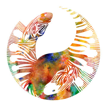 Two heads of zebras in a circle looking like a yin-yang symbol on transparent background