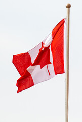 Flag of Canada isolated on a white background.
