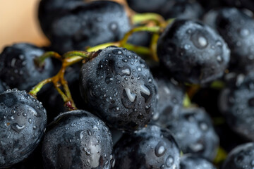 Fresh sweet washed blue grapes