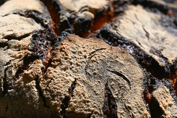 close up of crusty bread, dark and crunchy