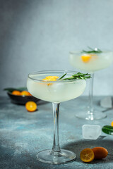 Gin and tonic cocktail with kumquat ice. refreshing soda. vertical image. top view. place for text