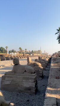 Vertical view of Avenue of sphinx in Luxor, Egypt under blue sky