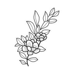 Hand-Drawn Botanical Branches and Leaves Illustration
