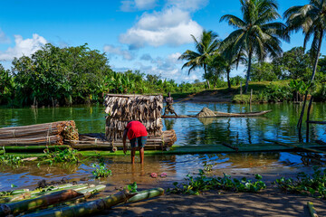 Transport de feuilles séchées sur le Canal des Pangalanes à Madagascar