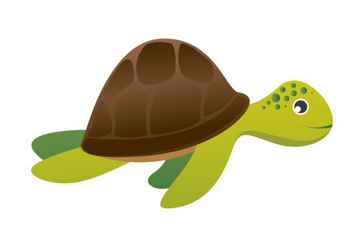 Sea turtle cartoon character . Vector .