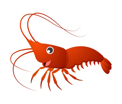 Crayfish cartoon character . Vector .